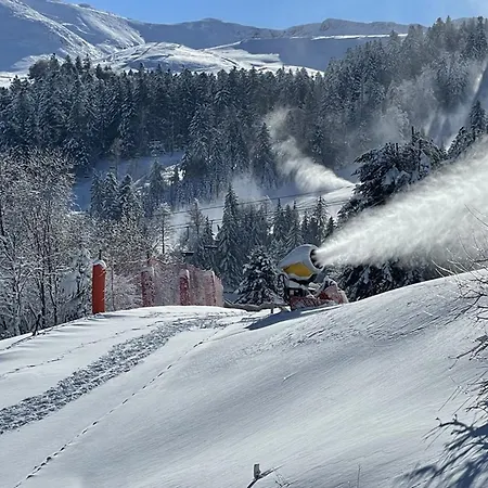 Studio-cabine-mezzanine Expose Sud Avec Navette Gratuite, Casier A Skis Et Confort - Fr-1-787-28 * 拉维西尔